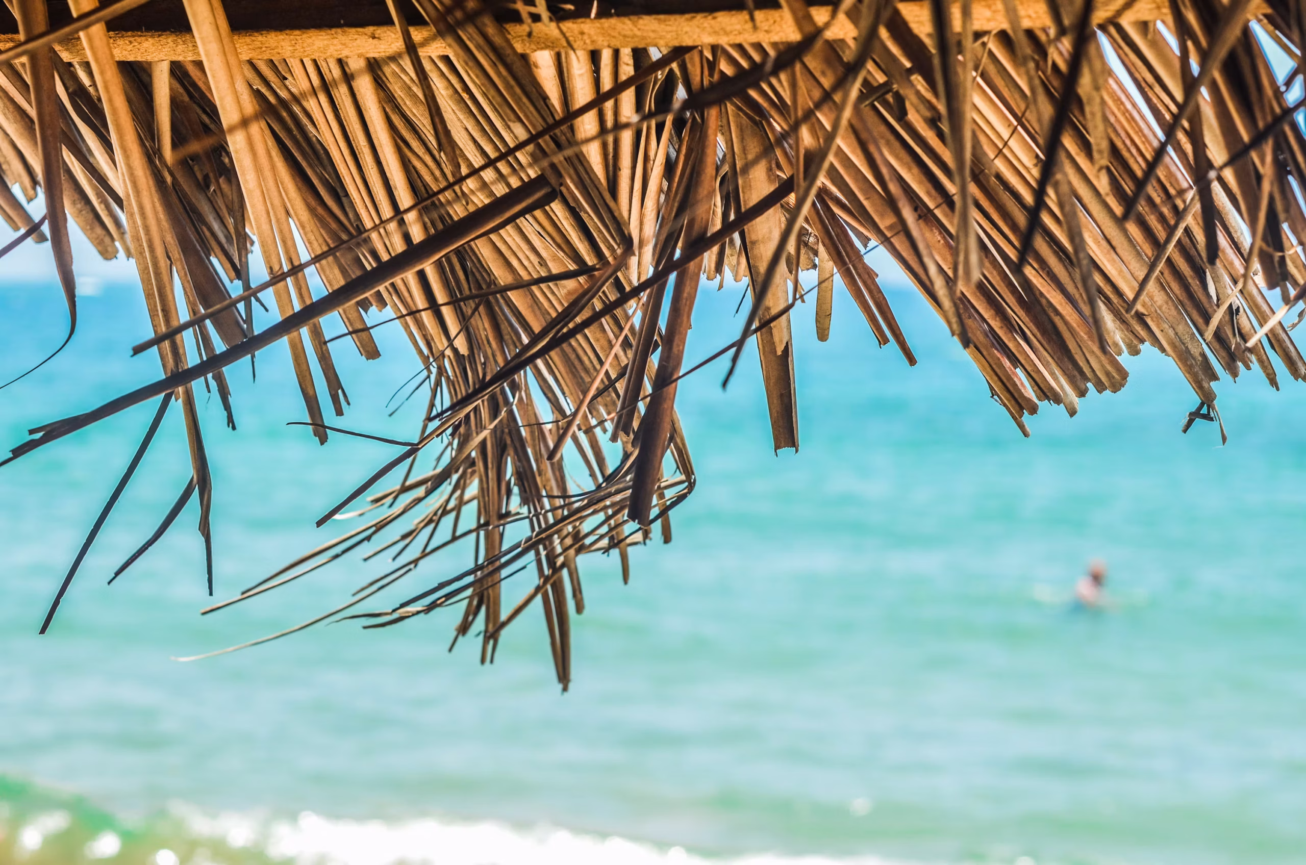 The Coconut Shack, Part 1